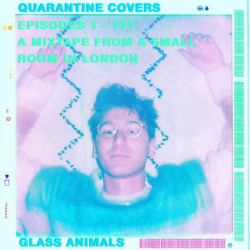 Tracklist & lyrics Glass Animals - Quarantine Covers